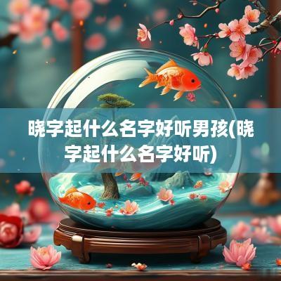 晓字起什么名字好听男孩(晓字起什么名字好听)