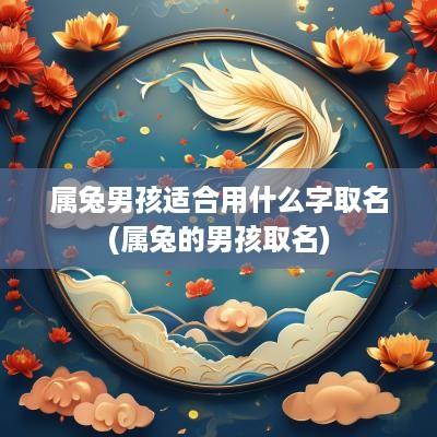 属兔男孩适合用什么字取名(属兔的男孩取名)