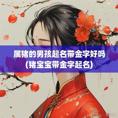 属猪的男孩起名带金字好吗(猪宝宝带金字起名)