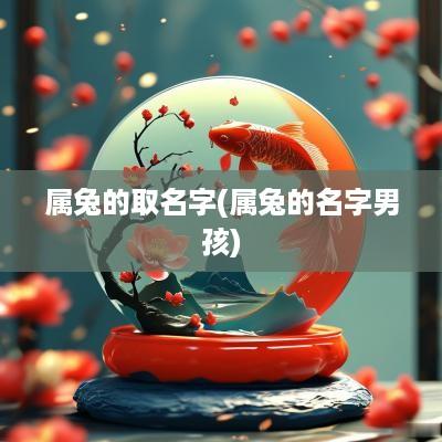 属兔的取名字(属兔的名字男孩)