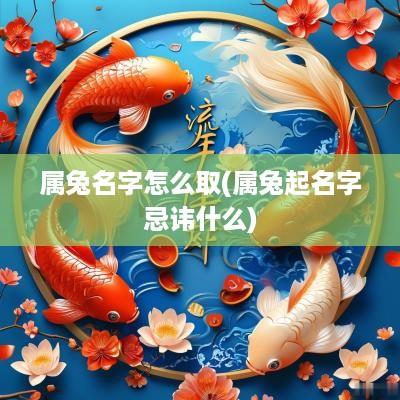 属兔名字怎么取(属兔起名字忌讳什么)