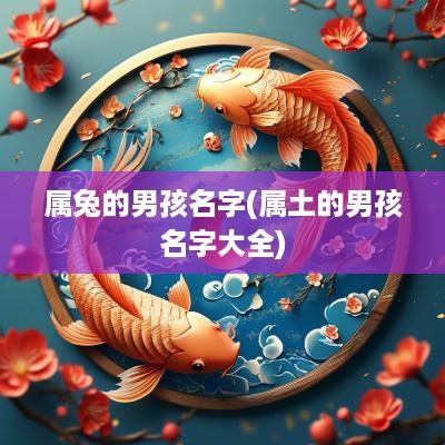 属兔的男孩名字(属土的男孩名字大全)
