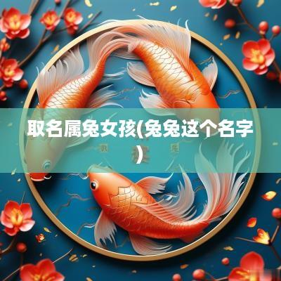 取名属兔女孩(兔兔这个名字)