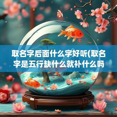 取名字后面什么字好听(取名字是五行缺什么就补什么吗)