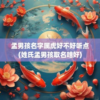 孟男孩名字属虎好不好听点(姓氏孟男孩取名啥好)