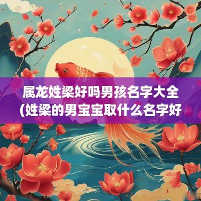 属龙姓梁好吗男孩名字大全(姓梁的男宝宝取什么名字好)