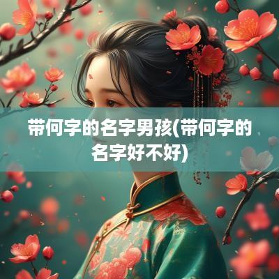 带何字的名字男孩(带何字的名字好不好)