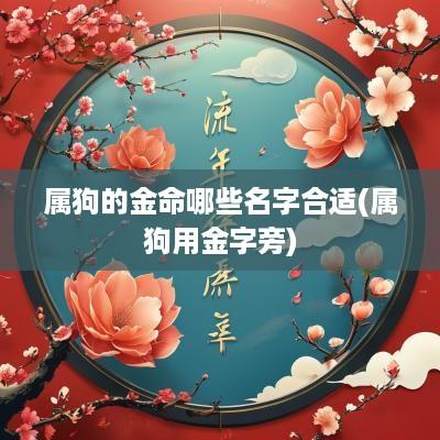 属狗的金命哪些名字合适(属狗用金字旁)