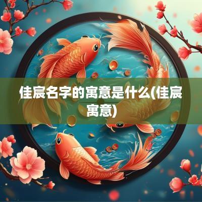 佳宸名字的寓意是什么(佳宸寓意)