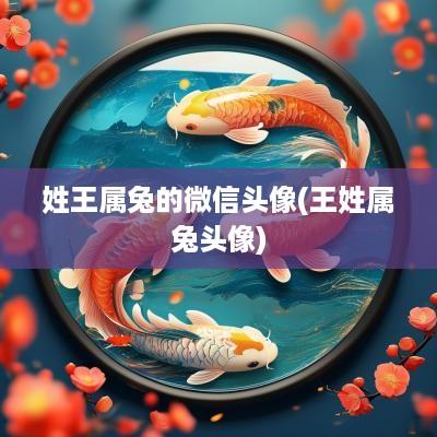 姓王属兔的微信头像(王姓属兔头像)