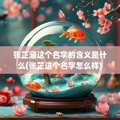 张芷涵这个名字的含义是什么(张芷这个名字怎么样)