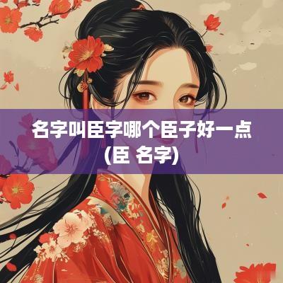 名字叫臣字哪个臣子好一点(臣 名字)