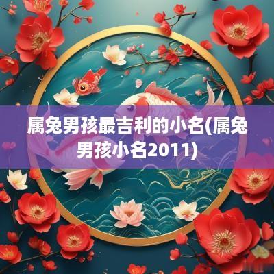 属兔男孩最吉利的小名(属兔男孩小名2011)