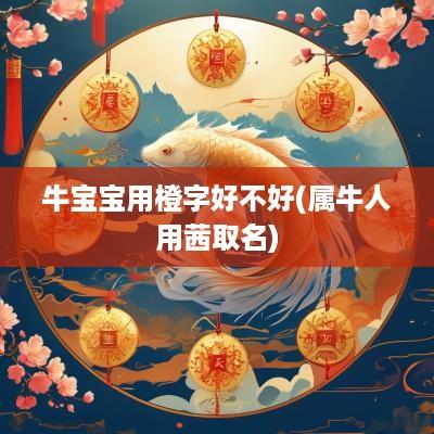 牛宝宝用橙字好不好(属牛人用茜取名)