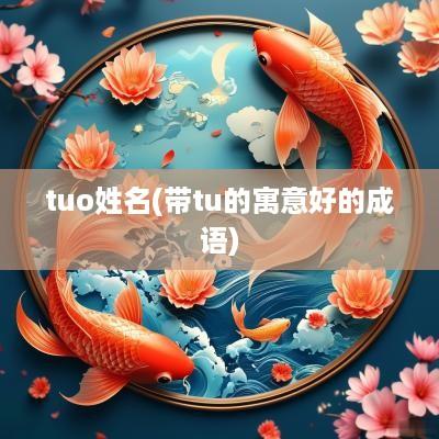 tuo姓名(带tu的寓意好的成语)