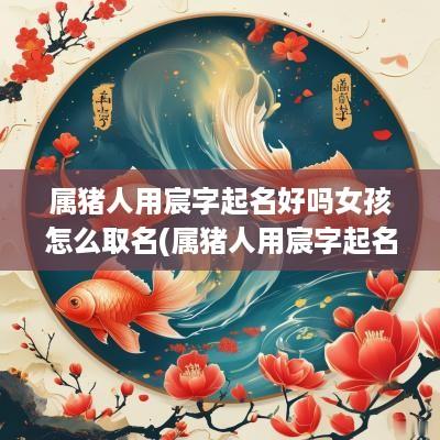 属猪人用宸字起名好吗女孩怎么取名(属猪人用宸字起名好吗女孩)