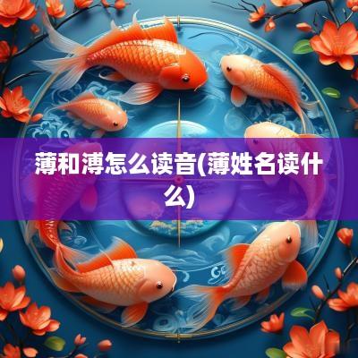 薄和溥怎么读音(薄姓名读什么)