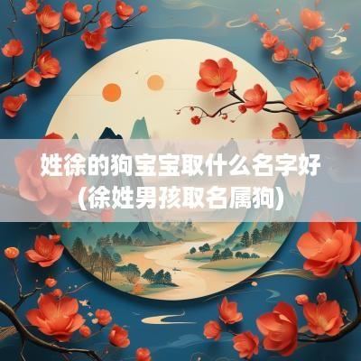 姓徐的狗宝宝取什么名字好(徐姓男孩取名属狗)