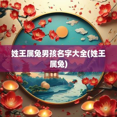 姓王属兔男孩名字大全(姓王属兔)