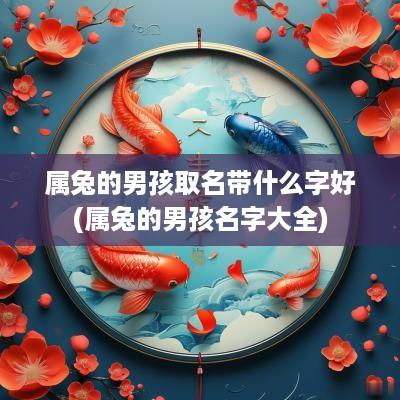 属兔的男孩取名带什么字好(属兔的男孩名字大全)