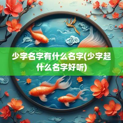 少字名字有什么名字(少字起什么名字好听)