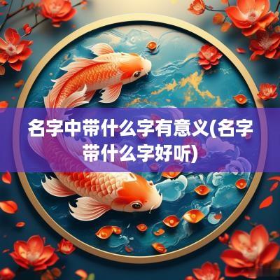 名字中带什么字有意义(名字带什么字好听)