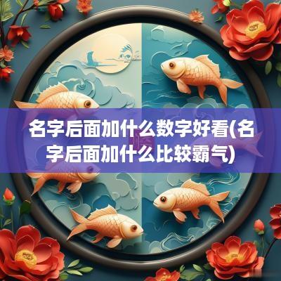 名字后面加什么数字好看(名字后面加什么比较霸气)