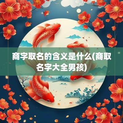 商字取名的含义是什么(商取名字大全男孩)