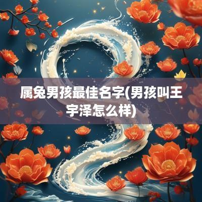属兔男孩最佳名字(男孩叫王宇泽怎么样)