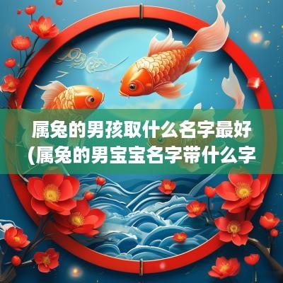 属兔的男孩取什么名字最好(属兔的男宝宝名字带什么字好听)