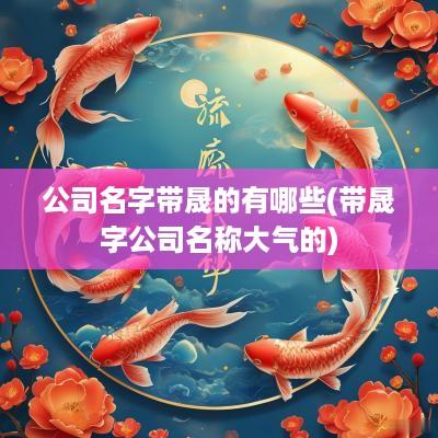 公司名字带晟的有哪些(带晟字公司名称大气的)