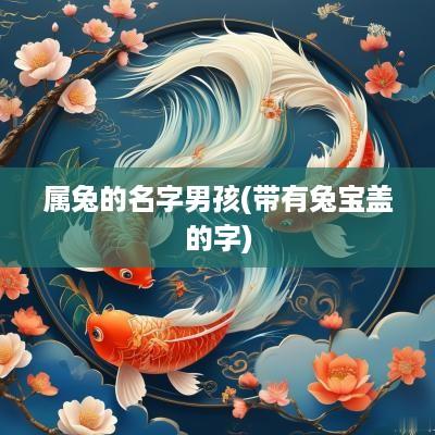 属兔的名字男孩(带有兔宝盖的字)