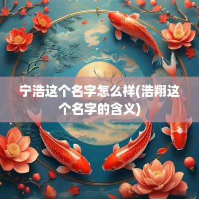 宁浩这个名字怎么样(浩翔这个名字的含义)