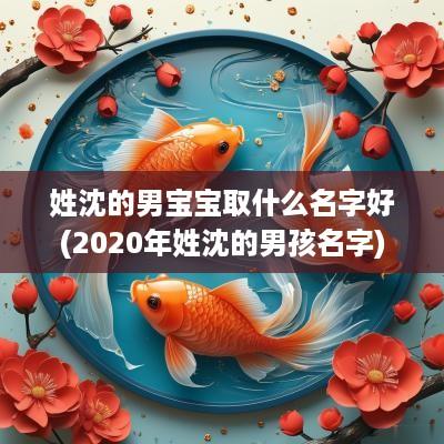 姓沈的男宝宝取什么名字好(2025年姓沈的男孩名字)
