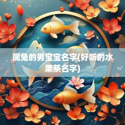 属兔的男宝宝名字(好听的水果茶名字)