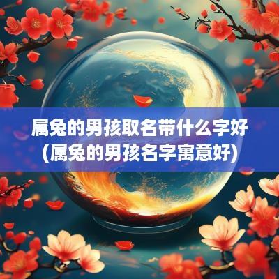 属兔的男孩取名带什么字好(属兔的男孩名字寓意好)