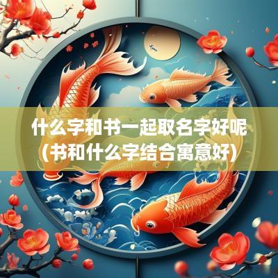 什么字和书一起取名字好呢(书和什么字结合寓意好)