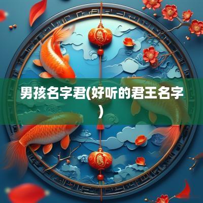 男孩名字君(好听的君王名字)