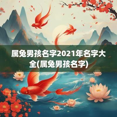 属兔男孩名字2025年名字大全(属兔男孩名字)