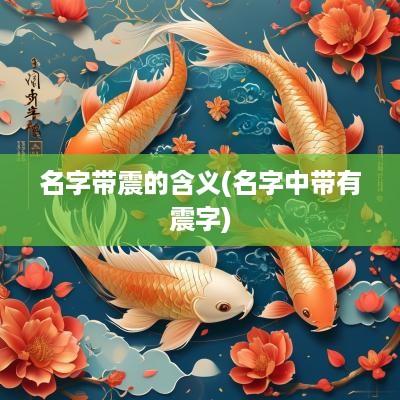 名字带震的含义(名字中带有震字)
