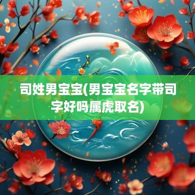 司姓男宝宝(男宝宝名字带司字好吗属虎取名)