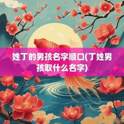 姓丁的男孩名字顺口(丁姓男孩取什么名字)