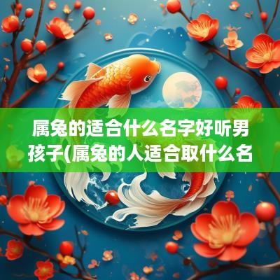 属兔的适合什么名字好听男孩子(属兔的人适合取什么名字)