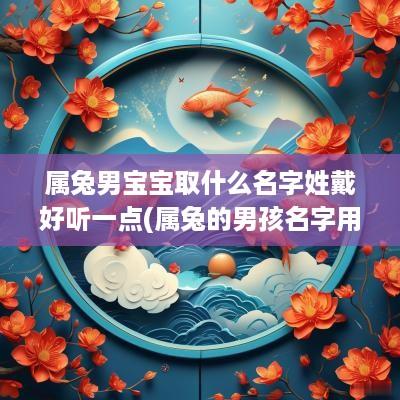 属兔男宝宝取什么名字姓戴好听一点(属兔的男孩名字用什么字好)