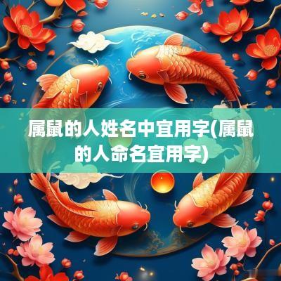 属鼠的人姓名中宜用字(属鼠的人命名宜用字)