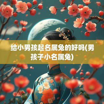 给小男孩起名属兔的好吗(男孩子小名属兔)
