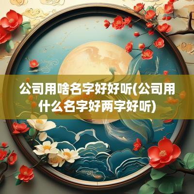 公司用啥名字好好听(公司用什么名字好两字好听)