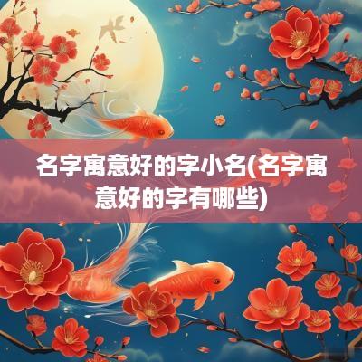 名字寓意好的字小名(名字寓意好的字有哪些)