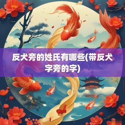 反犬旁的姓氏有哪些(带反犬字旁的字)