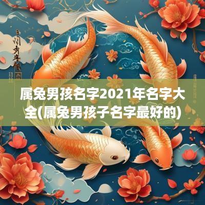 属兔男孩名字2025年名字大全(属兔男孩子名字最好的)